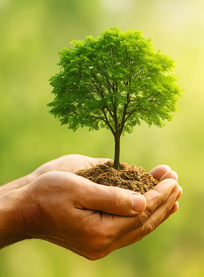 Mission dein-klimabau